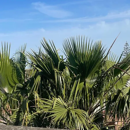 La Casa Di Chloe Bed & Breakfast 4*