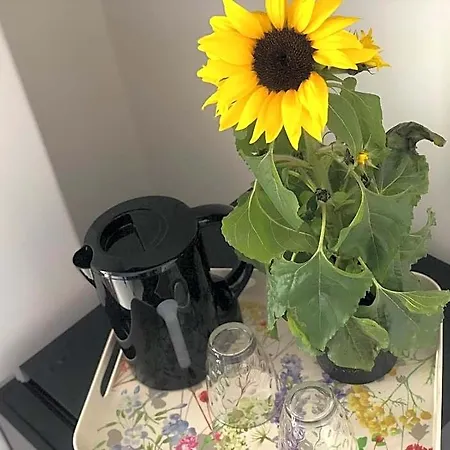 La Casa Di Chloe