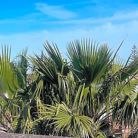 La Casa Di Chloe לינה וארוחת בוקר אלציו
