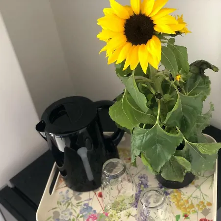 La Casa Di Chloe 4* アレーツィオ