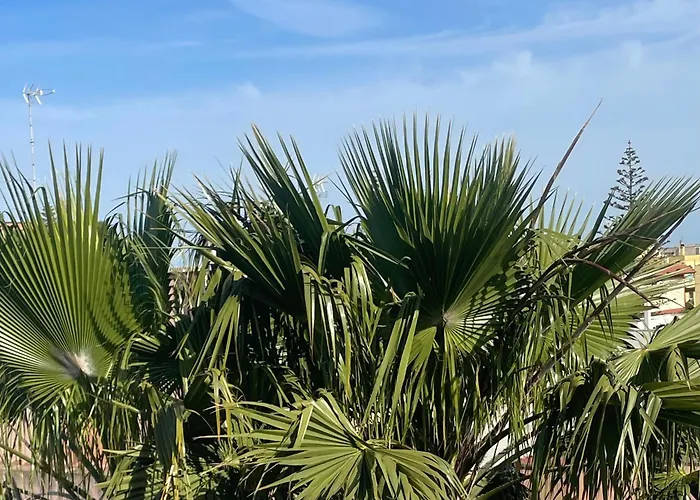 La Casa Di Chloe 住宿加早餐酒店 4*